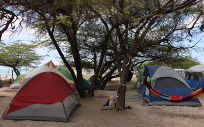 Homeless problem in Aruba, or was it just Camping?