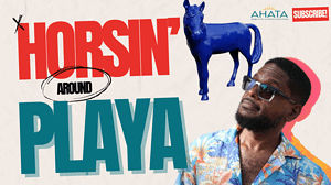 imgi_41_SLY-N-SNIDE-CANVA-PAARDENBAAI