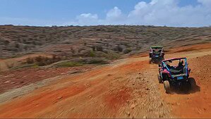 Tour Operators